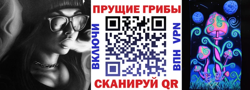 Псилоцибиновые грибы Magic Shrooms  что такое   mega зеркало  Моршанск 