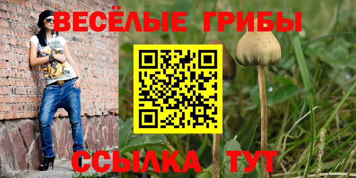 Галлюциногенные грибы Magic Shrooms  Вход с VPN  Моршанск 